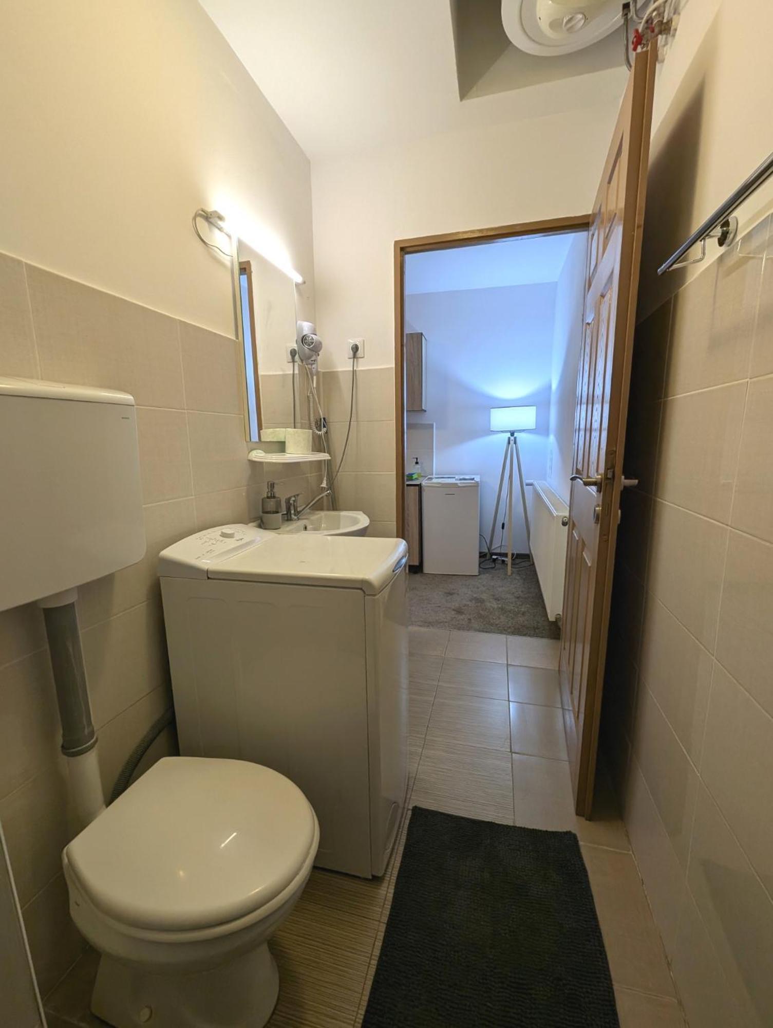 Sandor Central Studio Apartment Тыргу-Муреш Экстерьер фото